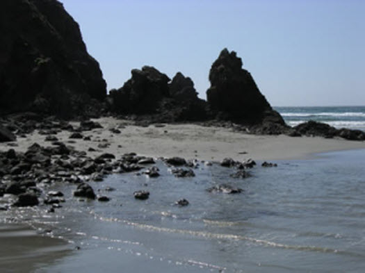 Rocky Shoreline